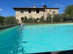 Alice - Podere Ribatti Casole DElsa