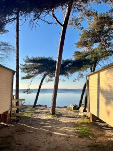 Ostseecamping am Salzhaff