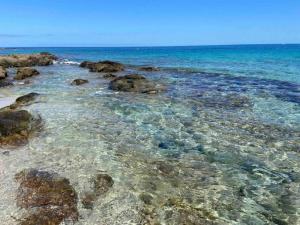 Appartements Exceptionnelle Vue Mer Calvi - Piscine - T2 : photos des chambres