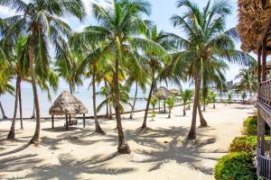 Villas de Isla Bonita A4