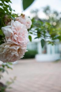 Villa Verde Österlen