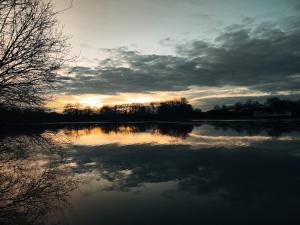 Lodges Domaine de la roseliere • Nature • Brenne : photos des chambres