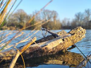 Lodges Domaine de la roseliere • Nature • Brenne : photos des chambres