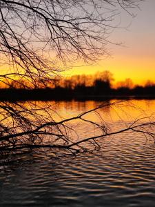 Lodges Domaine de la roseliere • Nature • Brenne : photos des chambres