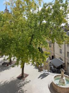 Appartements La place aux fleurs : photos des chambres