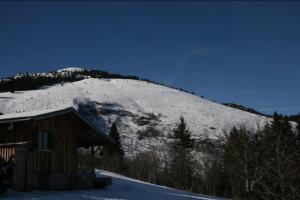 Chalets Le Mazot du Tetras : photos des chambres