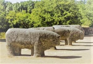 GREDOS RURALRUT El Tiemblo, cerca del famoso CASTAÑAR, la Reserva Natural VALLE DE IRUELAS y zonas de baño naturales a pocos metros