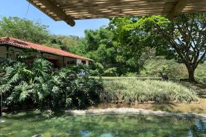 el silencio: vibración natural