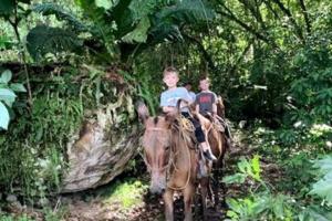 el silencio: vibración natural