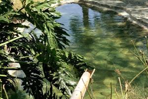 el silencio: vibración natural