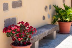 HOLIDAYS HOME TINAMAR II