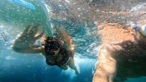 Mirò Art Room Apartment img98