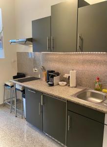 stilvolles, neues Apartment mit Balkon in Bamberg