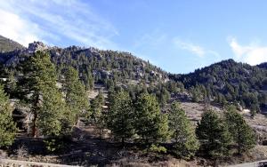 Fawn Valley Inn- 277 condo