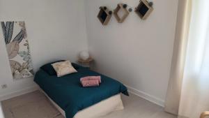 Maisons de vacances Agreable maison a 5' de Blois : photos des chambres