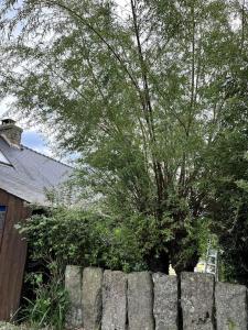 Maisons de vacances Charmant Penty Breton, entre terre et mer, Tregunc : photos des chambres