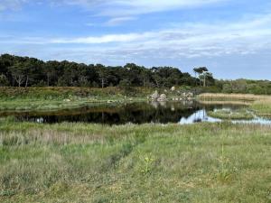 Maisons de vacances Charmant Penty Breton, entre terre et mer, Tregunc : photos des chambres