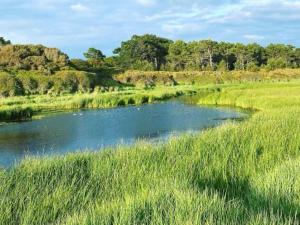 Maisons de vacances Charmant Penty Breton, entre terre et mer, Tregunc : photos des chambres