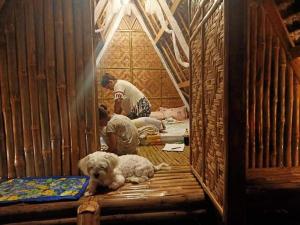 Moalboal Bamboo Guest House