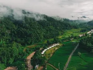 Ikigawa Home - Ban Pha Khap