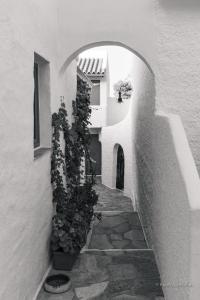 Rosys Little Village