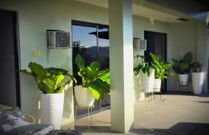 Mamays Place Homestay