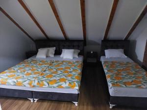 Apartment with Balcony room in Apartments Alibasic
