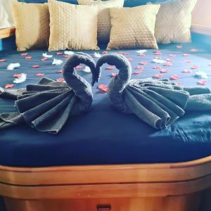 Bateaux Nuit insolite bateau a quai - Port Saint Louis du Rhone : photos des chambres