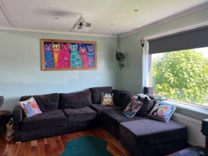 Bright, comfy and peaceful house