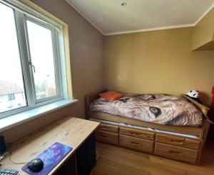 Bright, comfy and peaceful house