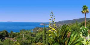 Appartements Vistazur Luxueux appartement avec terrasse et piscine : photos des chambres