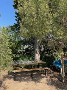 STAZZU LU CHISSONI img46