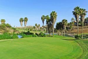 Salobre Vista Golf 8