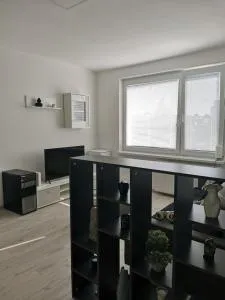 Apartmán u Lukáša - Strečno
