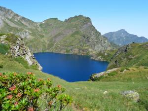 Appartements Appartement T2 confortable, 4 pers., garage, WIFI, Bareges, proche thermes et ski-bus - FR-1-403-97 : photos des chambres