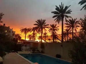 Mille & une nuit - Triffa