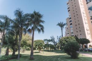 Apartamento playamar