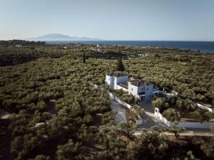Kapodistria Luxury Villas - Serene Escape in a Scenic, Secluded Location, by ZanteWize