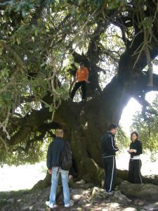 B&B Supramonte img16