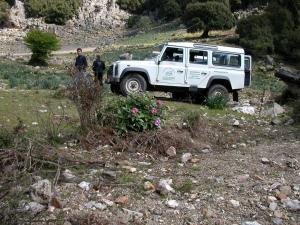B&B Supramonte img15