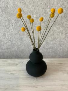 Lisoparkovy Residense