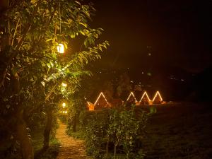 Doğallife suit bungalow