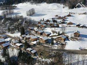 Chalets Chalet montagnard 9 pers, 4 chambres, terrasse, jardin, proche commerces, animaux acceptes ! - FR-1-391-2 : photos des chambres