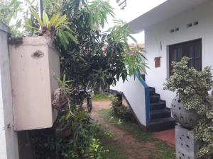 Asanka Beach Stay