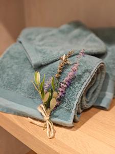 B&B / Chambres d'hotes Mas Sourso : photos des chambres