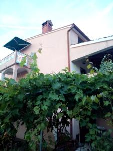 Olimp bar apartman4