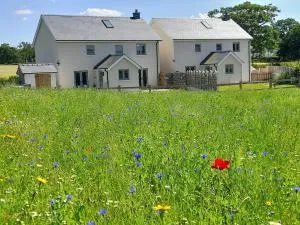 Family Country Cottage with Stunning Mountain View sleeps 12 - Llanwrda