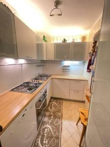 Stella Alpina San Martino di Castrozza vista Pale