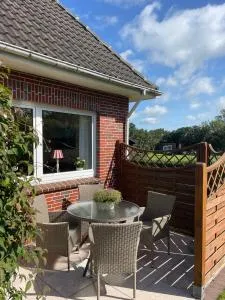 Haus-Seeschwalbe - Nieblum