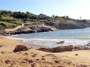 Appartements T3 climatise avec jardin, parking prive, a 400m de la plage et commerces - FR-1-316-230 : photos des chambres
